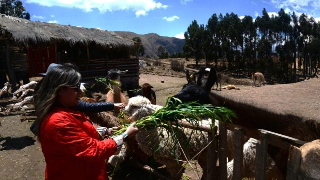 How to Experience the Best of Peru and Bolivia in Just 10 Days 4 1741532318778