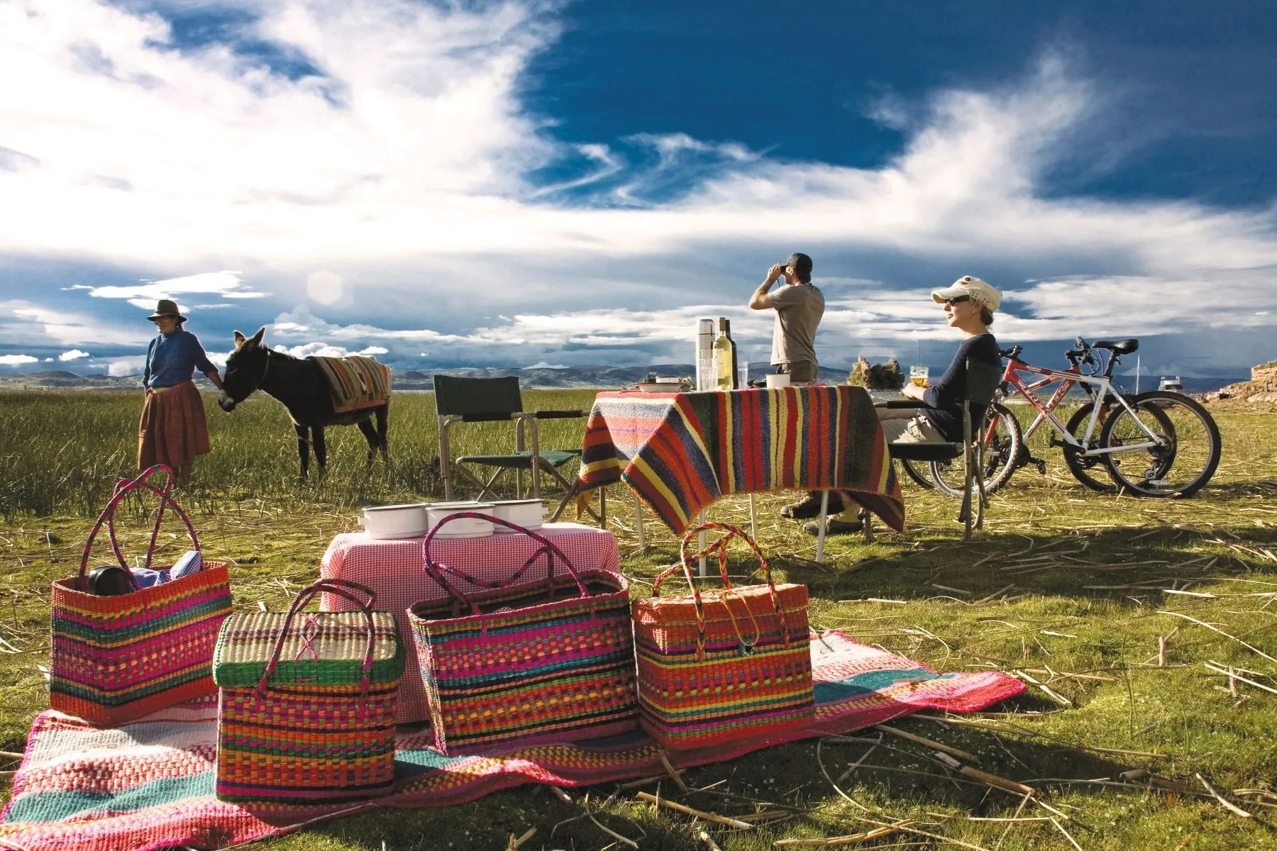 One Vision, One Journey: Introducing Our Unified Andes Experience