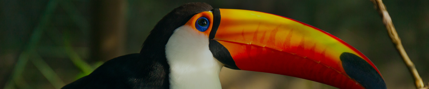 Plan Your Journey with Us