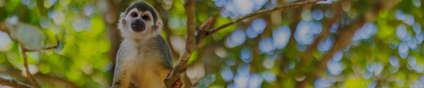 Plan Your Journey with Us