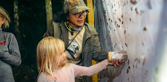 Amazon Night Insects