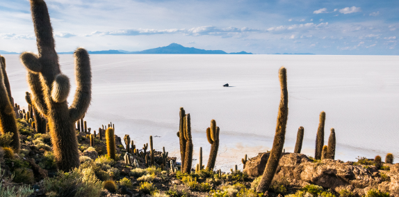 Uyuni Incahuasi Island
