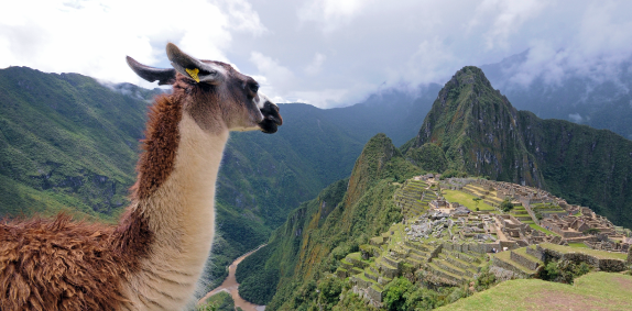 Machu Picchu