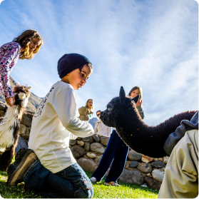 Cochahuasi Sanctuary – Animal Rescue Center