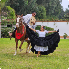 Peruvian Paso Horse Show and Lunch in Hacienda Los Ficus
