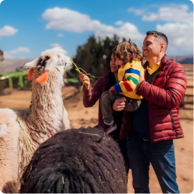 Sulca Textile Museum