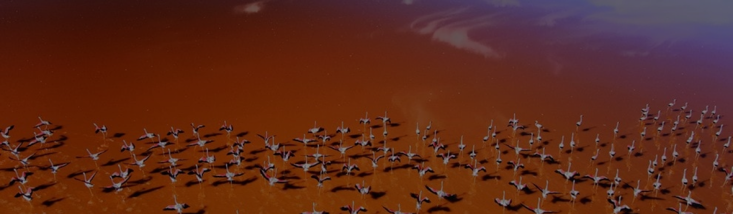 Extend Your Andean Journey to Bolivia