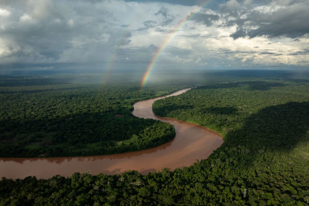 Which Jungle Lodge Should You Choose?