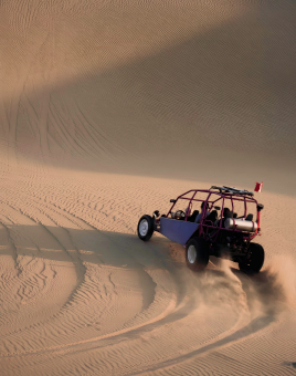 Buggy Ride in the Desert